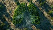 a top view of the world's forests in shape of lungs, one side is lush green and healthy while other half shows dry trees with black spots on it symbolizing defellence to global warming