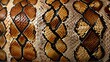close up of a snake skin texture