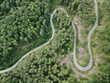 View of the winding road going up the mountain between the forest