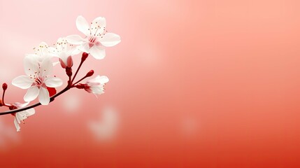 Wall Mural - gradient light red backgrounds