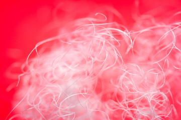 Wall Mural - Extreme macro of polyester stable fiber on red background