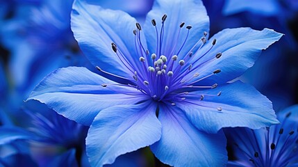 stage blue earth