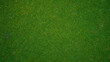 © ChampZ - Green grass pattern and texture for background, top view background of garden bright grass concept.