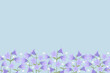 Sweden National flowers harebell (Campanula rotundifolia)  purple Liten blåklocka, blåklockablue background border frame for Sweden National  festival decoration vector illustration .
