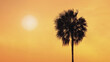 Silhouette of palm tree against orange sunset sky background. Summer season climate.