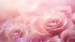 © vectorwin - petals backgrounds pink