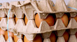 Chicken eggs in carton box close up