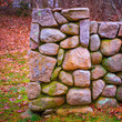 Stone wall with moss in autumn