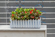 Plastic Flowers Decor in Picket White Pot at Terrace