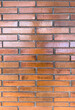 Red glossy brick wall background