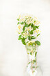  Blooming branches with white flowers in a transparent bottle. artistic interior light photo. poster Very soft focus.