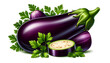 Fresh aubergine (eggplant) and parsley on white background, Eggplant and parsley on white background - Healthy food illustration, Fresh aubergine (eggplant) with parsley - Vegetable ingredient