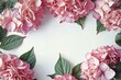 Pink hydrangea flowers frame on white background with copy space, top view. Flat lay style. This is perfect as a background for a card, invitation, poster, banner and etc.