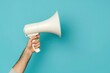 © Alina - Male hand holding modern megaphone on blue background