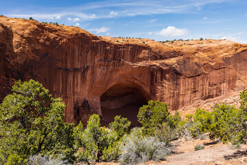 Wall Mural - Views from Alcove Spring Trail at Canyonlands National Park.