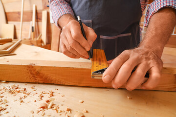 Wall Mural - Mature carpenter measuring wooden plank at table in workshop, closeup