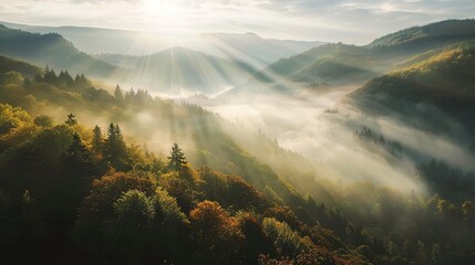 Wall Mural - Amazing nature scenery, mountains under morning mist