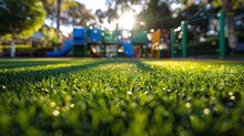 Lush Playground Grass 