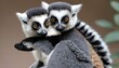 a lemur with its tail wrapped around another lemur upscaled 7