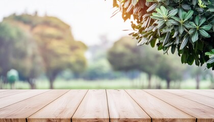 Wall Mural - wooden table and blurred green nature bokeh background for product