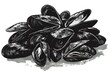 Close-up of a bunch of mussels on a white surface. Ideal for seafood concept designs