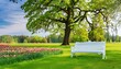 white bench standing under old tree in the parkland on the blooming meadow