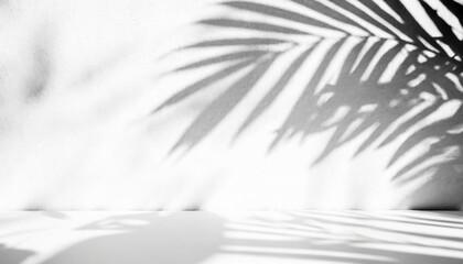 Wall Mural - blurred leaves shadow from palm leaves on the light white texture design wall with stage minimal abstract background for product presentation