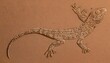 A Lizard With A Pattern Resembling Ancient Hierogl  2