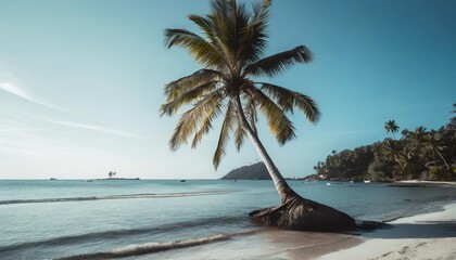 Wall Mural - coconut tree on a tropical island with beautiful beach