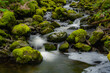 river, creek, forest stream, moss, rocks, flowing, water, wallpaper