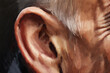 An old man's ear. Illustration in oil painting style.