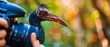 A charismatic closeup portrait of a wildlife photographer capturing a rare bird, half body colorful strange bizarre sharpen blur background with copy space