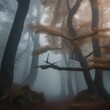A mystical foggy forest with twisted trees and moss3