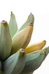 Sticker - Fresh banana fruit, Silver bluggoe or Musa ABB group banana