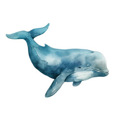 Wall Mural - Beluga whale ,illustration watercolor isolate 