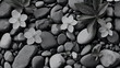 Dark Stones and Flowers. Dark featuring captivating stones and delicate flowers in shades of background. dark color stones and white flower background image for any kind of graphic, copy space