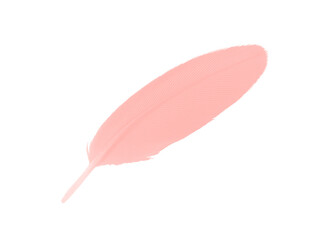 Wall Mural - Beautiful light pink feather isolated pastel on white background