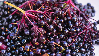 Flat lay of elderberry texture, Top view of fruits concept background