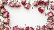 Flowers composition. Frame made of dried rose flowers on white background. Flat lay, top view, copy space