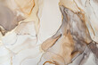 Alcohol ink with thin gold lines on a white background. Fluid texture with abstract shapes and forms in neutral tones of beige, grey, and brown, organic fluid lines in the style of nature.