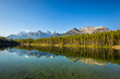 Herbert Lake with Mountain Reflection, Banff National Park , Alberta, Canada.