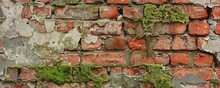 An Aged Brick Wall Texture With Chipped Mortar And Mossy Growth Seeping Through The Cracks