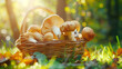 basket full of mushrooms in the sun's rays in an autumn light forest, the concept of autumn, autumn hobbies, mushroom picking with copyspace for text