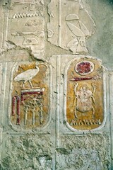 Wall Mural - Mortuary Temple of Hatshepsut, Luxor, Egypt