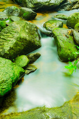 Canvas Print - Small stream with gentle smoothing flowing water moves through mossy rocks in the natural water source