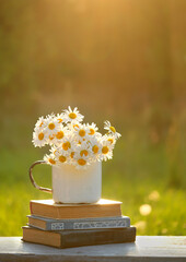 Sticker - chamomile flowers bouqet in enamel mug and books on table in garden. summer background. romantic rustic floral composition. copy space. template for design