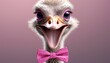 Portrait of a cute young ostrich in a pink suit
