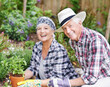 Senior couple, laugh and plant outdoor for gardening, love and sustainability in home. Man, woman and flowers outside for eco friendly, garden and environment care for retirement in countryside