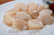Atlantic bay cleaned scallops coquille St. James sea shells, catch of the day in Normandy or Brittany, France