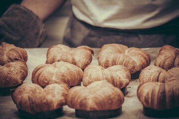 Wall Mural - Professional baker holding baking tray with freshly baked cheese croissants, vintage style with grain